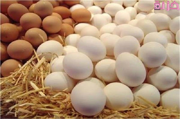 ما تفسير حلم جمع البيض في المنام للعزباء
