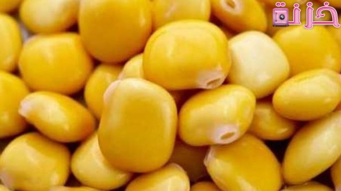 الترمس